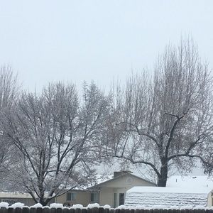 Meet your Posher, Jill